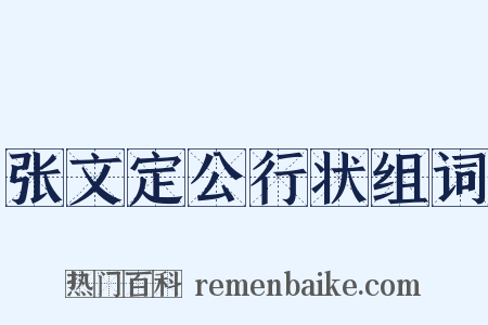 张文定公行状组词是什么意思的图片